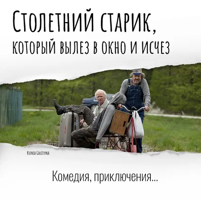 Столетний старик, который вылез в окно и исчез